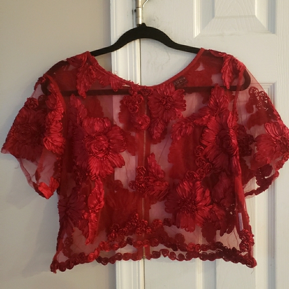 Forever 21 Tops - Forever 21+ Red Embroidery Floral Sheer Top
